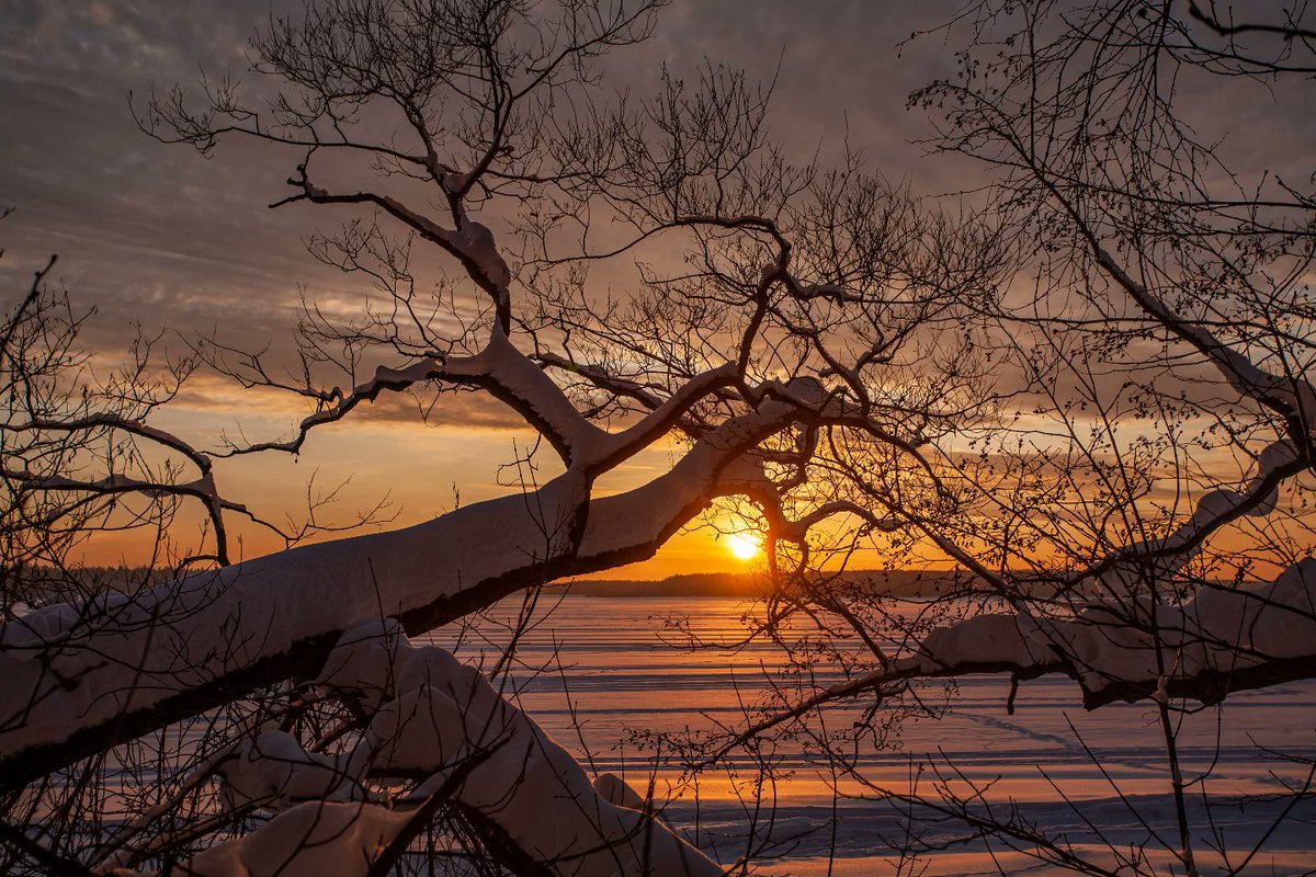 Hazeerasarang's tweet photo. Photo by Pavel Barilov on January 18, 2026. https://t.co/8RsVUOQrBo
