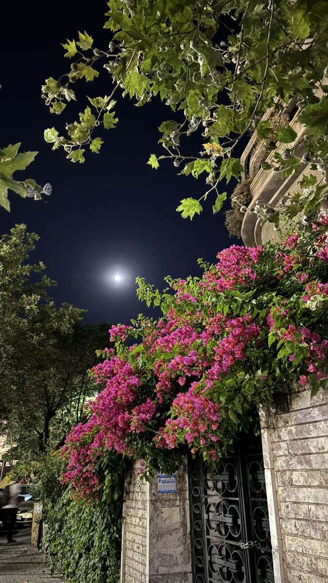 zeez73's tweet photo. دمشئ https://t.co/L24yvHJZkv