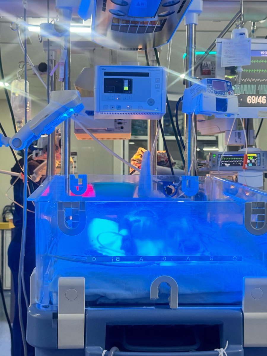 gabyvidal_1's tweet photo. Fototerapia neonatal 👶🏼 https://t.co/my0dcptm9P