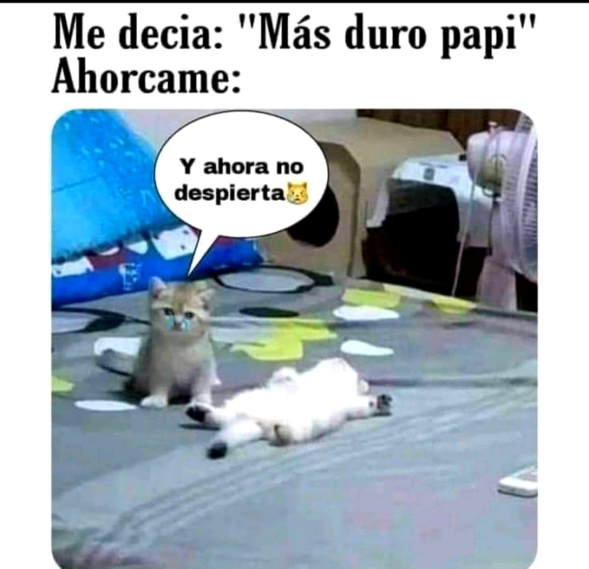 Estrellitaa31's tweet photo. Te pasaste pues.. jajaja https://t.co/EBhjuLK1ob