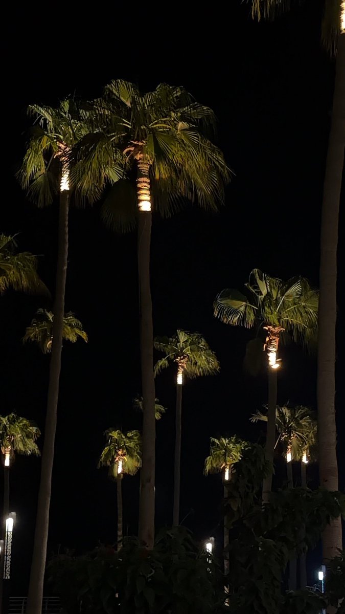 stopstalkingime's tweet photo. Late night in Khobar https://t.co/Iajm25bGwL