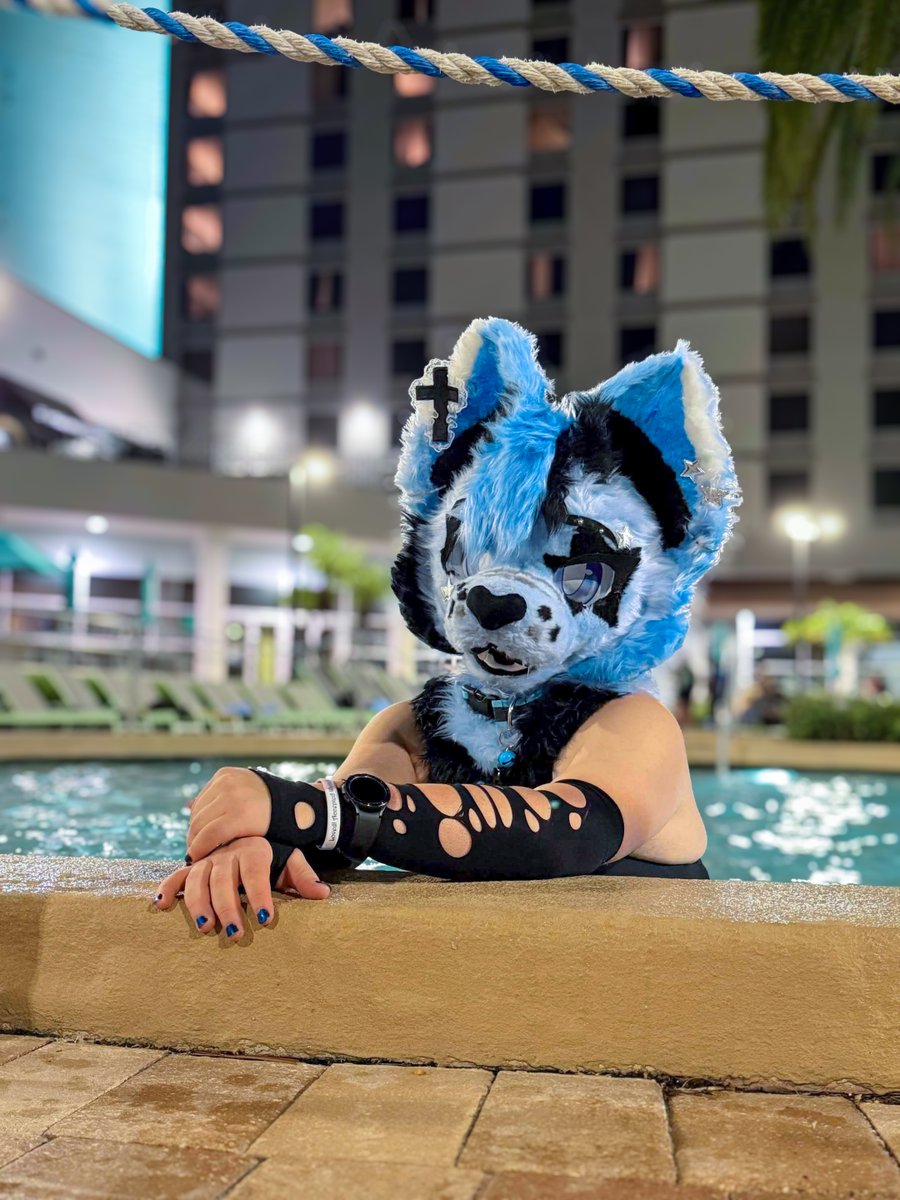 SaccuPaws's tweet photo. You come here often? 🧜‍♀️🐾 https://t.co/AEIQH1gAiY