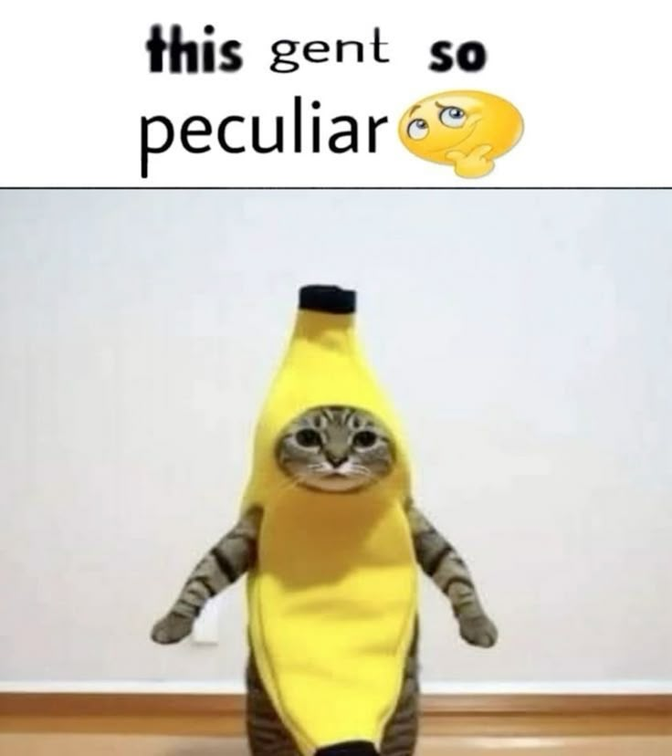 catblep tweet picture
