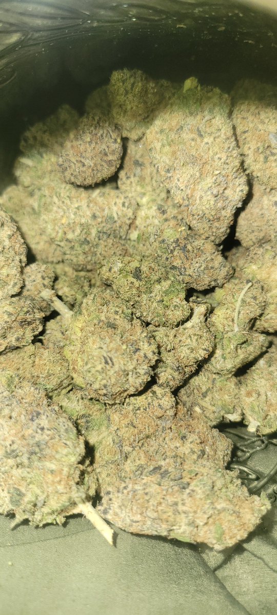 SouthernSm99011's tweet photo. MR5( Mad Rabbit #5 ) is pretty good smoke. Thanks to @SuperTHCA https://t.co/GHgo6vJOlP