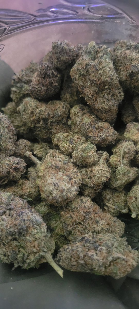 SouthernSm99011's tweet photo. MR5( Mad Rabbit #5 ) is pretty good smoke. Thanks to @SuperTHCA https://t.co/GHgo6vJOlP