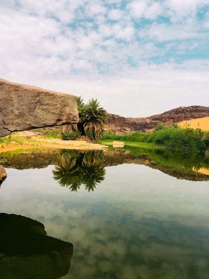Houda_mnt_Taleb's tweet photo. جمال موريتانيا يستحق أن يُرى ويُكتشف ويُحكى عنه للعالم. 🇲🇷🌍 https://t.co/Xwy95g8YCs