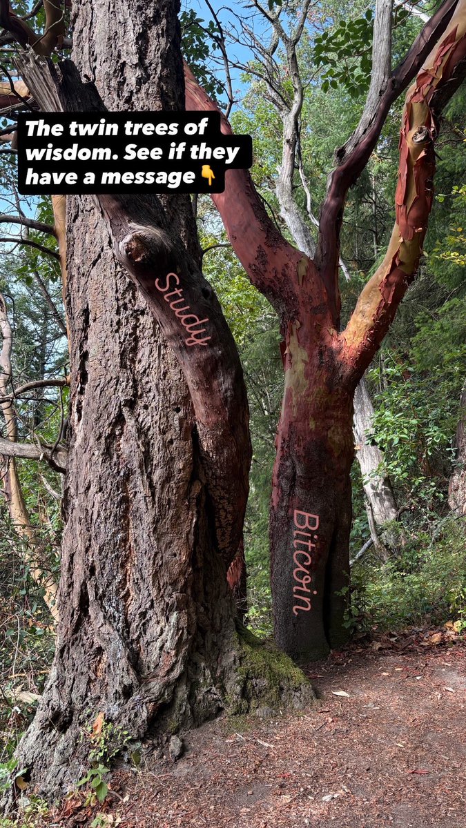 thekylehuber's tweet photo. Out on a walk, made this for an Instagram story, thought it was tasteful. https://t.co/5gzELIQTUf