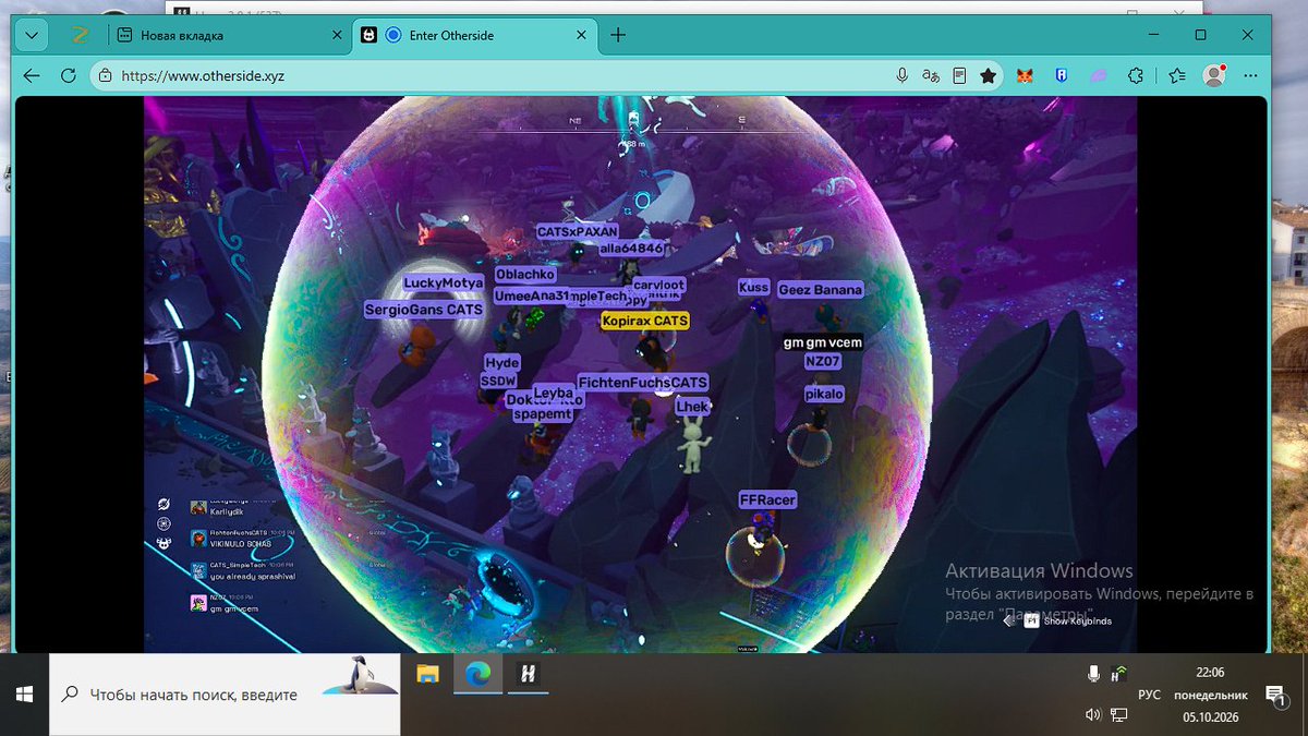 Fichten_Fuchs's tweet photo. I missed a few game nights, but I'm glad to be back. Then we got a beautiful card.

@CryptoCatsApe  @ApeChainHUB  @kopirax_blog 
#Bubble_CATS_28 https://t.co/nxFaHMIhoB