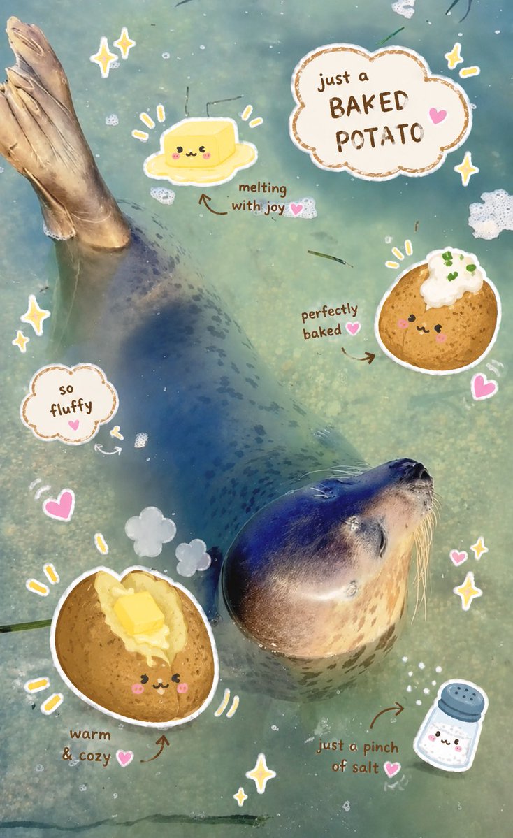 NANA_The_Seal's tweet photo. 🥔🌊 娜娜：海洋小土豆 💕 

$NANA

0x9640554b8aef28a19a442cdf0c5791dadaa77777
#bnb #seal https://t.co/hJ9TnOPkGo