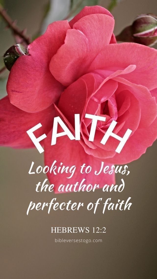 WillYoungIII's tweet photo. “looking unto Jesus the author and finisher of our faith; who for the joy that was set before him endured the cross, despising the shame, and is set down at the right hand of the throne of God.”
Hebrews 12:2 KJV https://t.co/x8Esl3ix5T