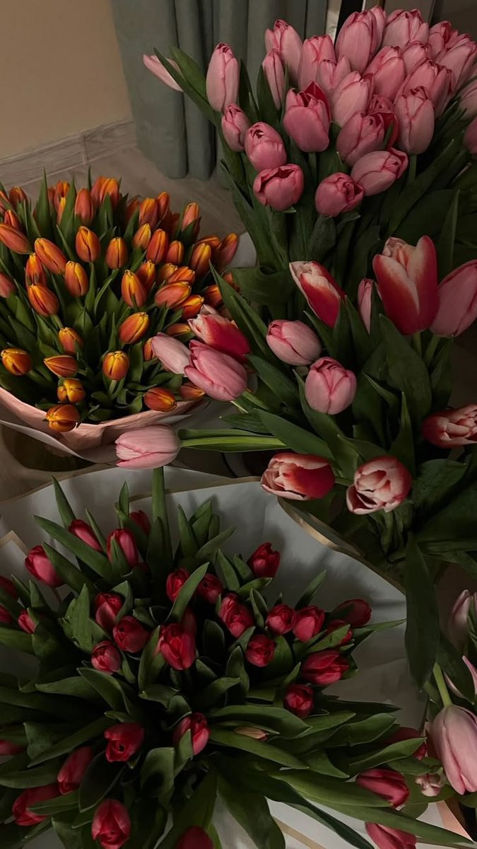 Flowersidmb's tweet photo. https://t.co/fwX7hrwOWw