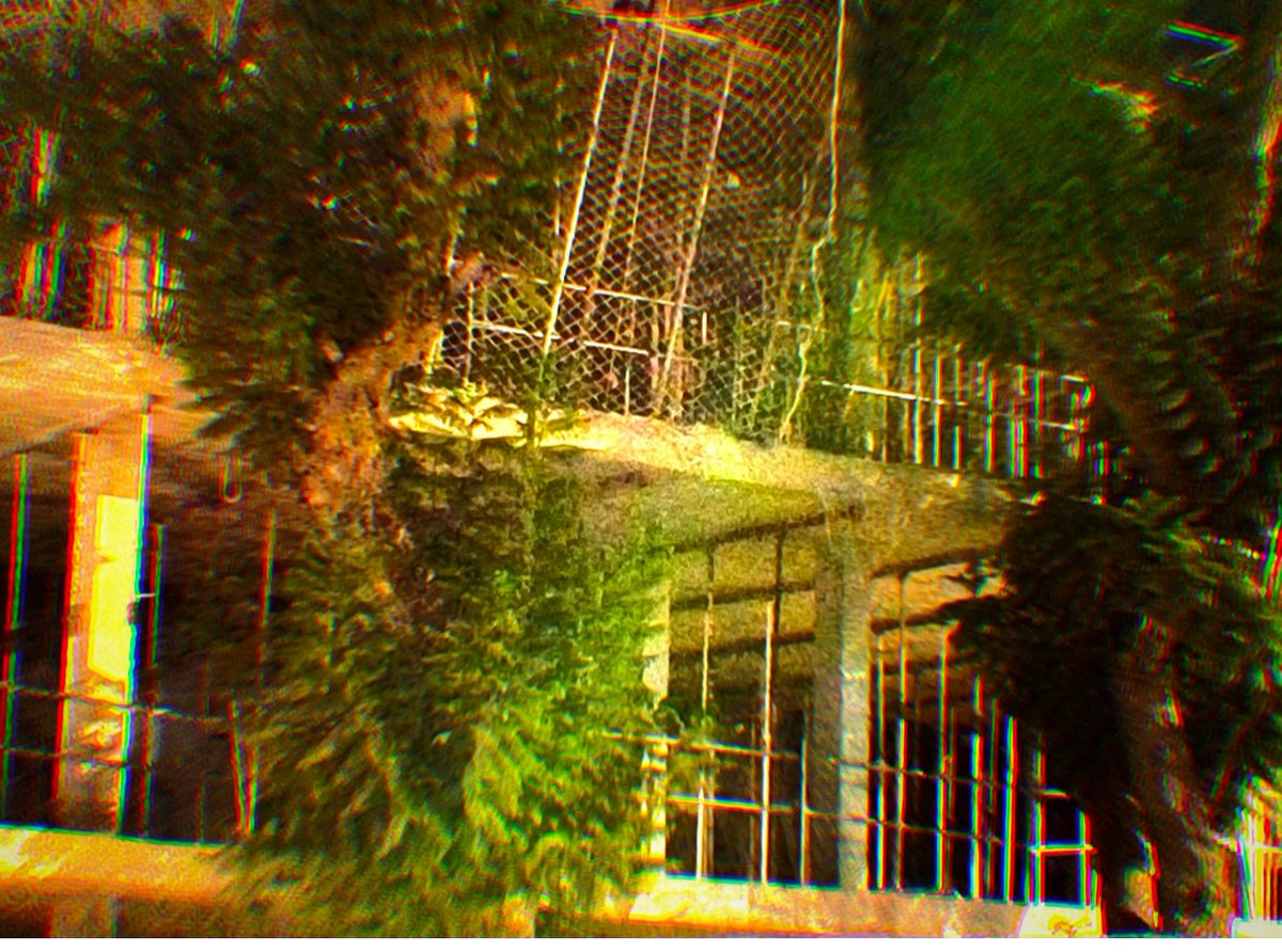 TotallyT0g's tweet photo. Edited some pictures from my camera roll https://t.co/ppgPhRIKbg