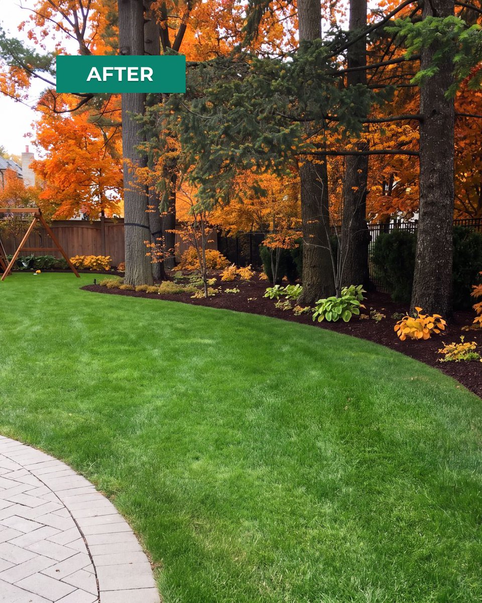 willowizerinc's tweet photo. Before/after: this is what a proper fall clean-up looks like. Booking is still open for residential and commercial properties.
https://t.co/qJptbTYXc5
#WillowLandscape #PrideInProperty #WillowMaintains #FallLawnCare #FallCleanup #OntarioLawns #CurbAppeal https://t.co/7bSKYcYz5n