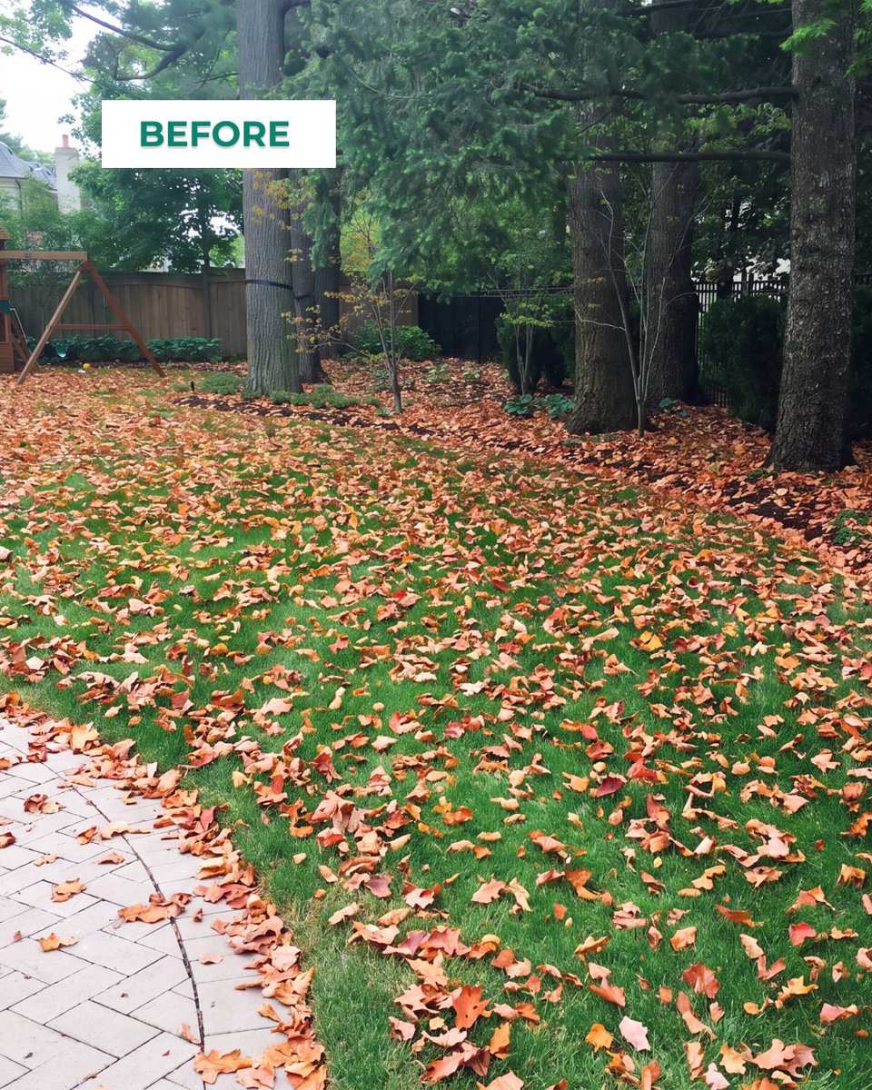 willowizerinc's tweet photo. Before/after: this is what a proper fall clean-up looks like. Booking is still open for residential and commercial properties.
https://t.co/qJptbTYXc5
#WillowLandscape #PrideInProperty #WillowMaintains #FallLawnCare #FallCleanup #OntarioLawns #CurbAppeal https://t.co/7bSKYcYz5n