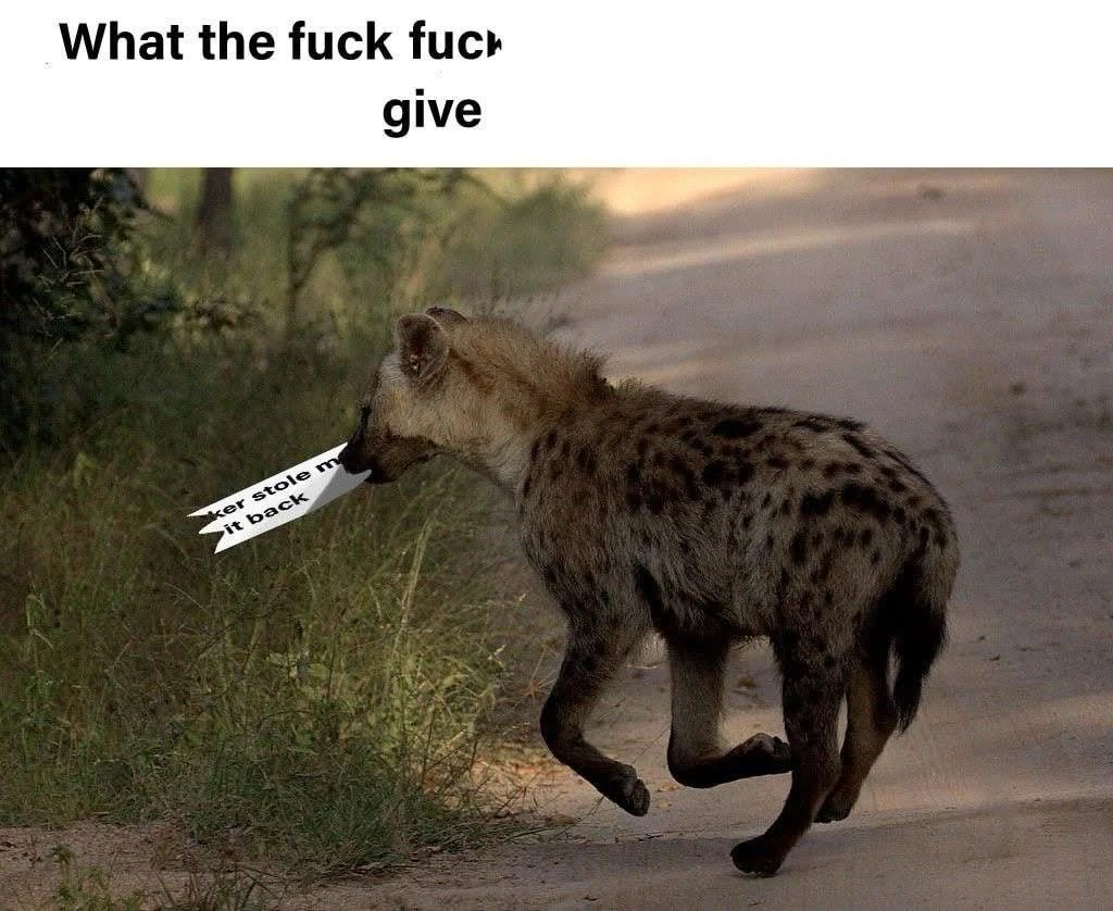 MacTheHyena's tweet photo. yeahhh https://t.co/XK9kAAkpze