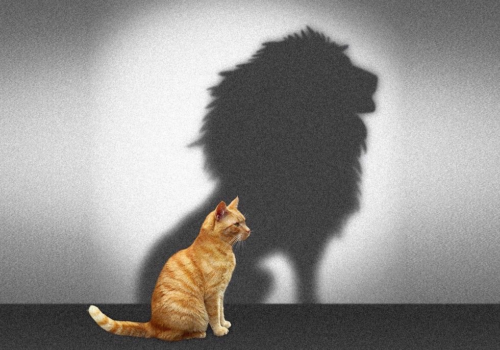 2__1b's tweet photo. اختي تهدد عيالها فيني https://t.co/u540r7TaGH