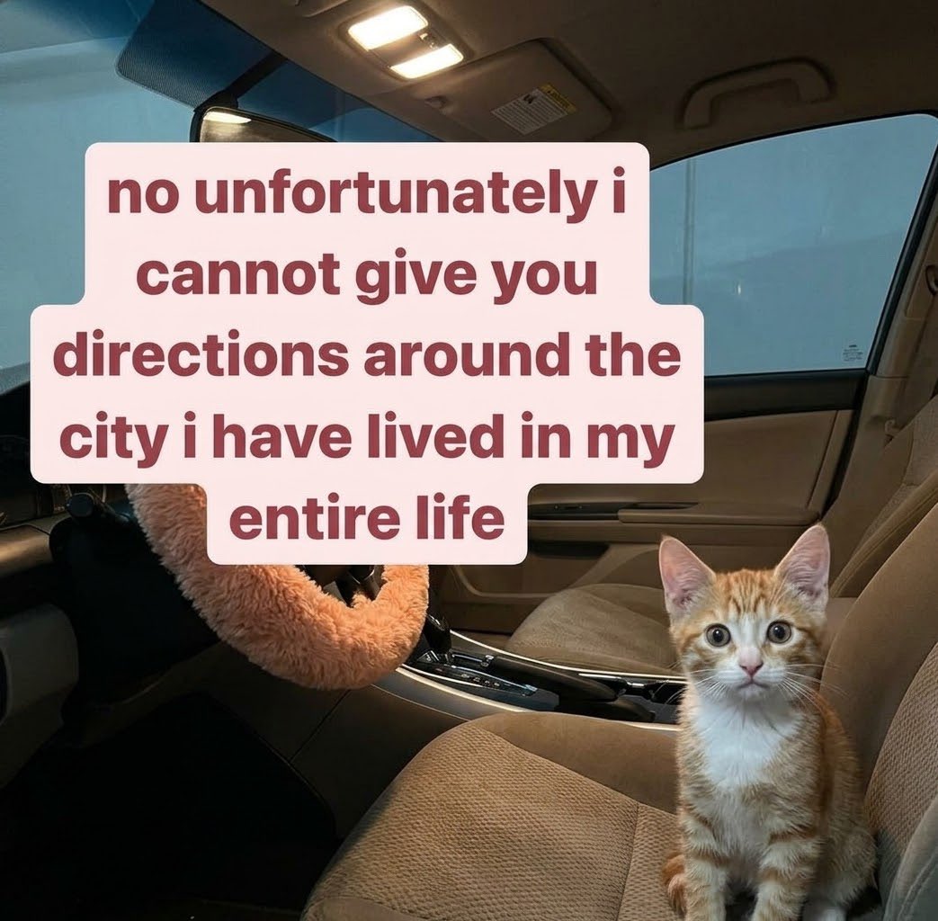 sillymeow4u's tweet photo. https://t.co/AxYK38jWiP