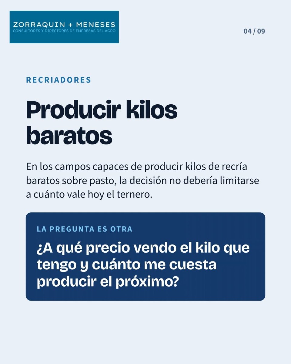TeoZorraquinZM's tweet photo. Recriadores: https://t.co/xa48EvsvcE