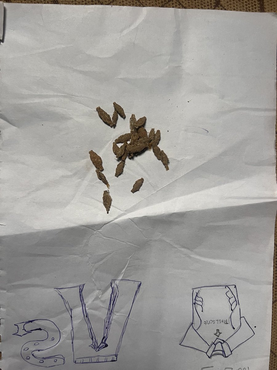 dreSlyyy's tweet photo. Okay, tired of pretending, wtf are these. I scraped em off my walls…and they move!!!! https://t.co/mjAyDeEiJP