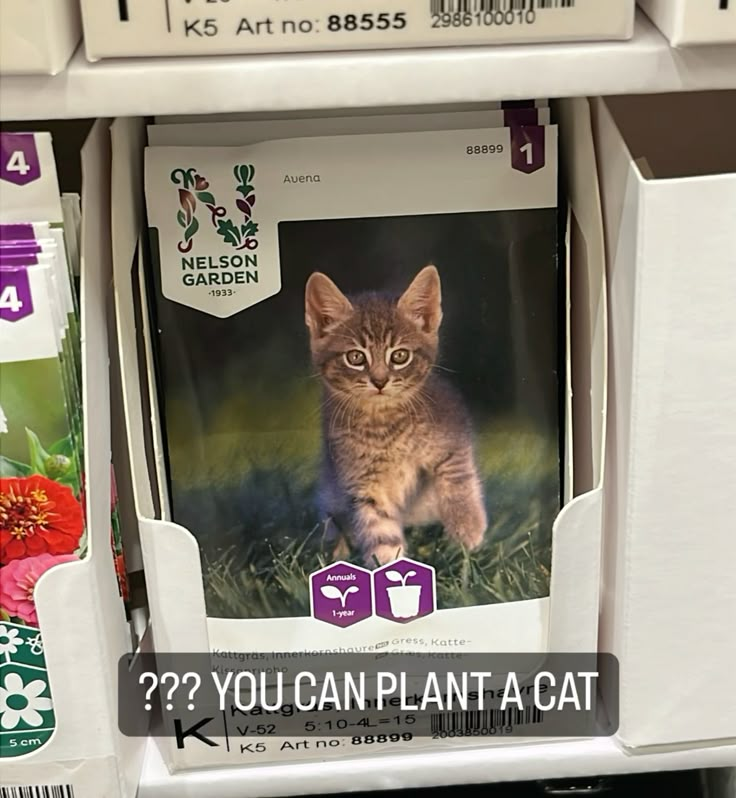 catblep's tweet photo. https://t.co/X9RrPtuVwl