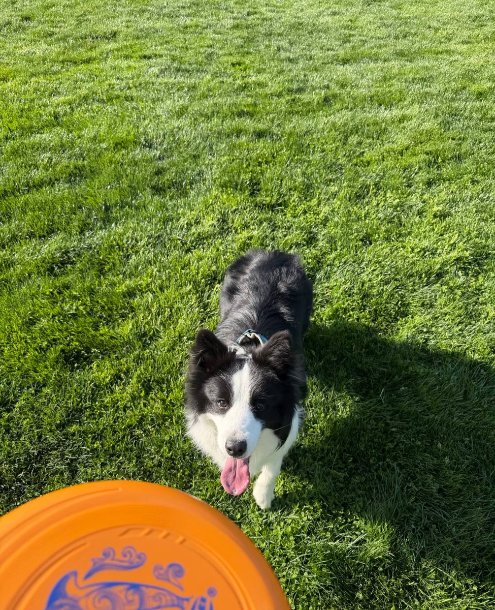 4ty_BottleBody's tweet photo. Saw the most adorable fur baby, now I don't want to do anything else https://t.co/RPwTrpqUib