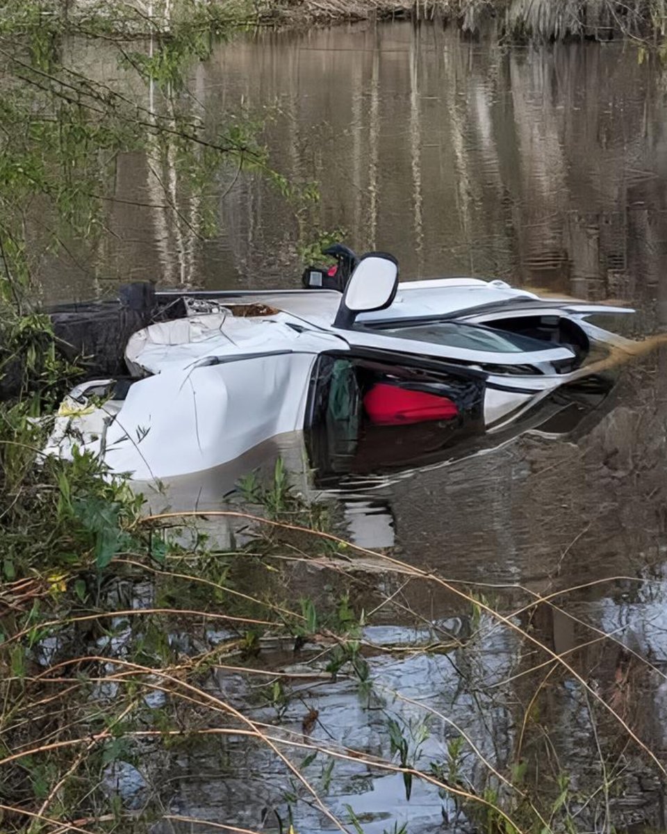 DavidJHarrisJr's tweet photo. 🚨HEROIC RESCUE: Five brave college students spring into action to save a mother and her two young boys from a sinking SUV submerged in a freezing creek!

While driving through Burke County, Georgia, on their way to a weekend getaway in Savannah, five University of Georgia students witnessed a horrific crash as an SUV veered off the road and plunged into a deep creek.

The mother managed to escape the sinking vehicle, but her two young sons remained trapped inside as water rapidly filled the cabin.

Without hesitation, Molly McCollum, Jane McArdle, Eleanor Cart, Clarke Jones, and Kaitlyn Iannace pulled over, leapt down the steep embankment, and waded into the murky, frigid water.

Together, the women pulled the older boy to safety before realizing the 4-year-old was still trapped underwater, securely strapped into his submerged car seat.
Working under extreme pressure, they freed the toddler from the submerged vehicle after he had been underwater for several minutes and was no longer breathing.

Drawing on her background as a certified lifeguard, Clarke Jones immediately performed CPR on the riverbank, pumping his chest until the little boy gasped and began breathing again on his own!

First responders arrived shortly after, confirming that the quick instincts and heroic teamwork of these five young women saved the lives of an entire family!
