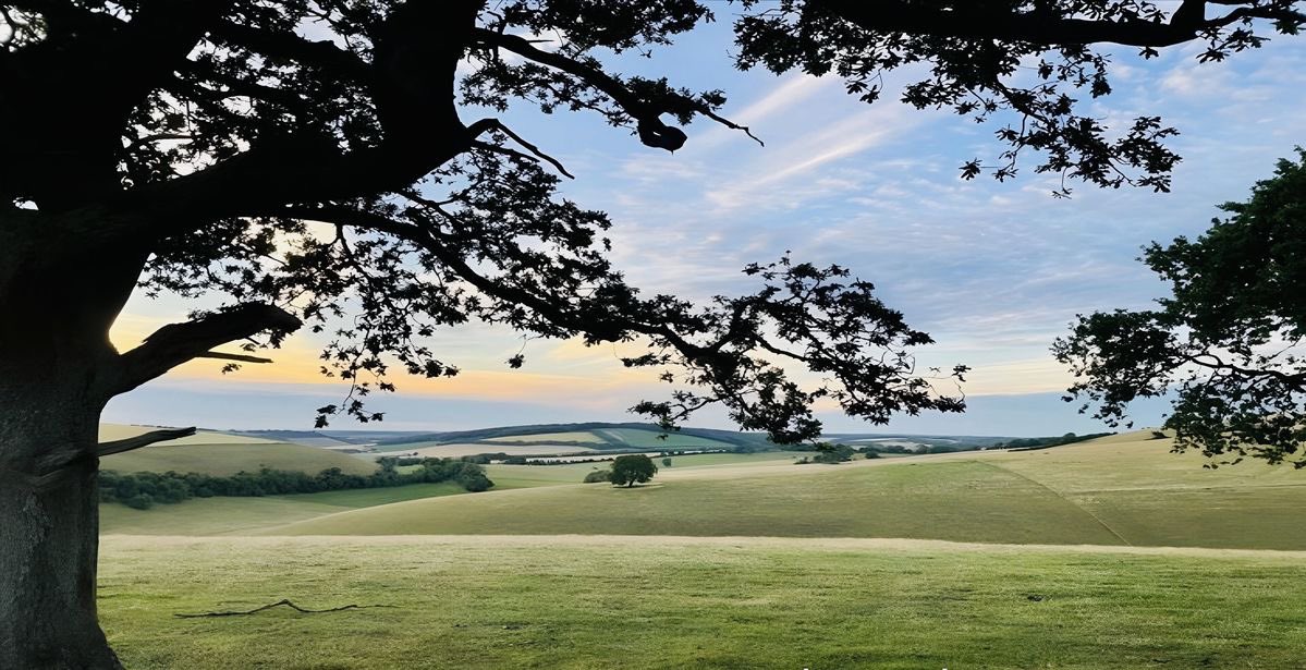 Craftsmangod's tweet photo. a pause from the world.. https://t.co/ylb0WrLYH6