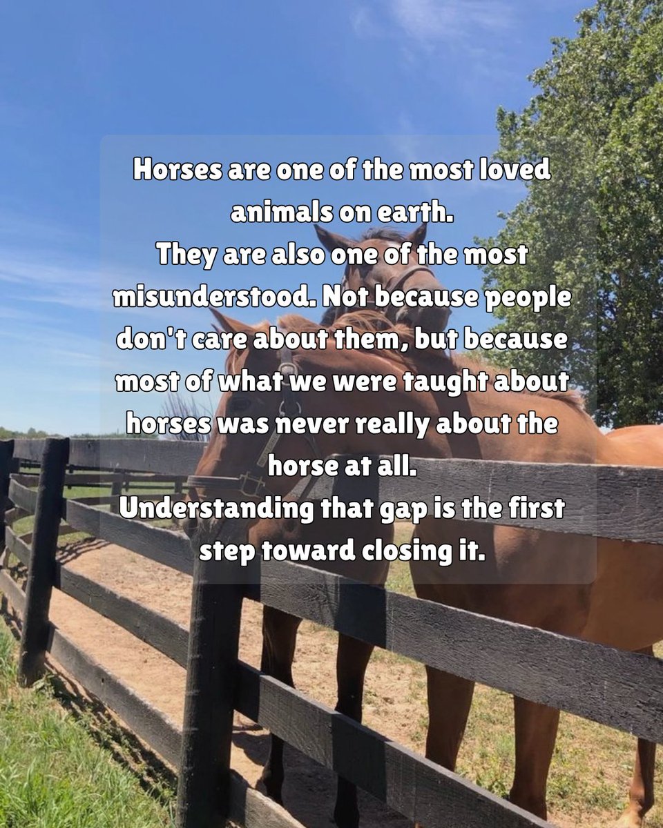 thepetlounge__'s tweet photo. Love starts with appreciation. Understanding starts with listening.🐴
Closing the gap between old myths and real equine needs—one step at a time.
True partnership begins when human convenience stops being the priority.
#GentleHorsemanship #EquineWelfare #HorseLove https://t.co/M8D2G2nJL8