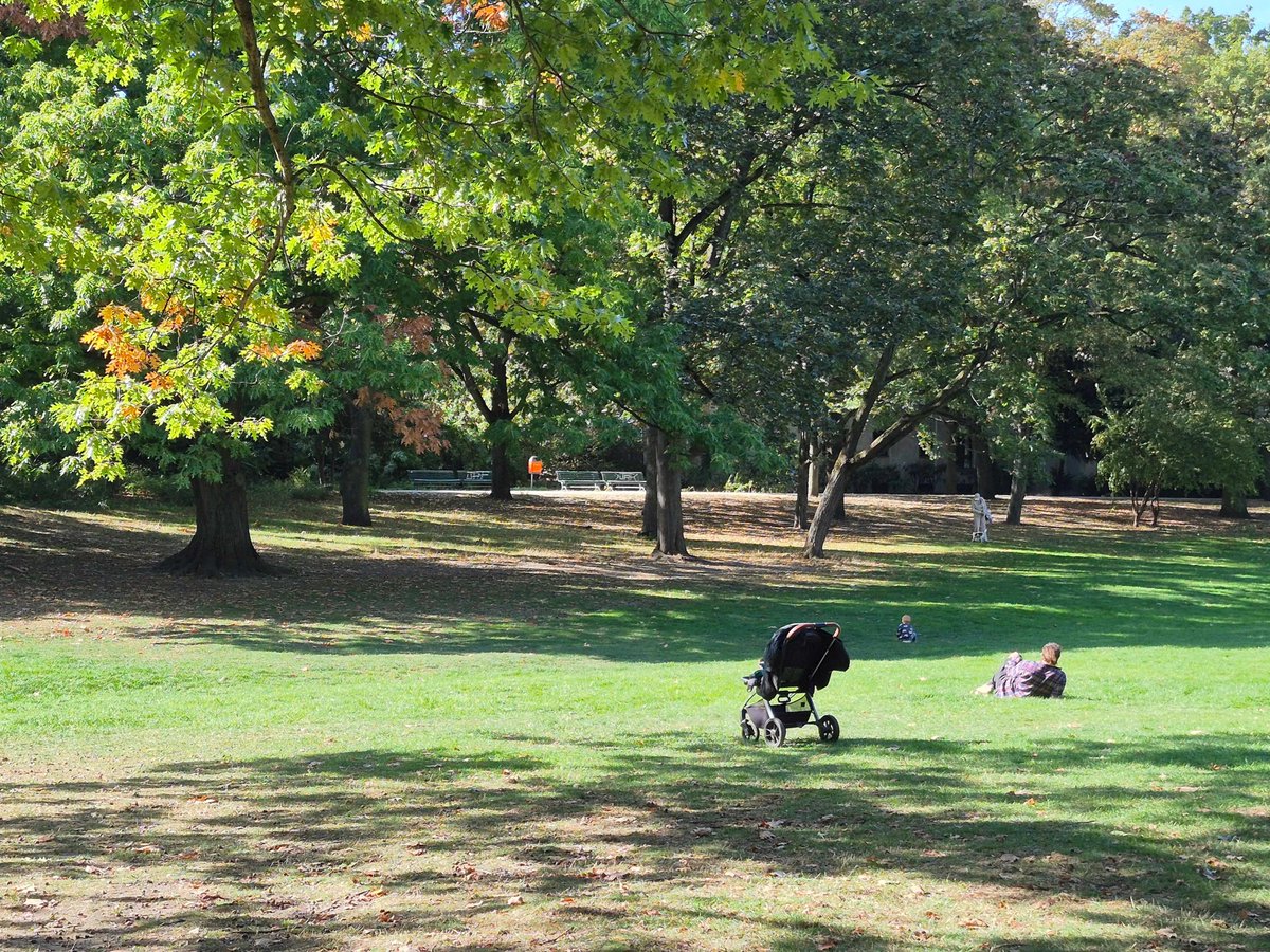 TalesFromBerlin's tweet photo. Gorgeous Golden October afternoon in Berlin. https://t.co/03uj1kASiq