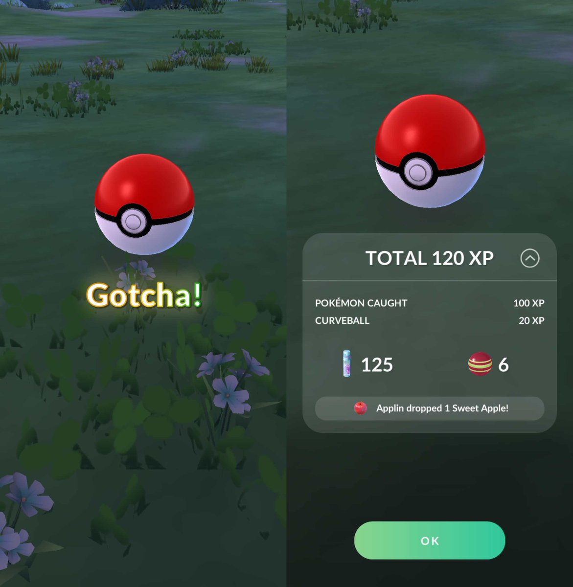 trainersgo2022's tweet photo. 🤨 Actualización en el resumen de captura para algunos Entrenadores en Pokémon GO.

⚠️ Al parecer, se encuentra en fase de prueba, ya que todavía no está disponible para todos los Entrenadores.

Image by:  _qaaz

#PokemonGO #PokemonGOApp https://t.co/iUuaSGowwn