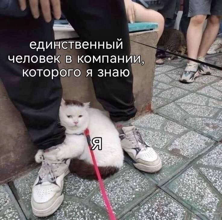 McMatras's tweet photo. а он еще и уходит вечно https://t.co/wzZxwIgg4V