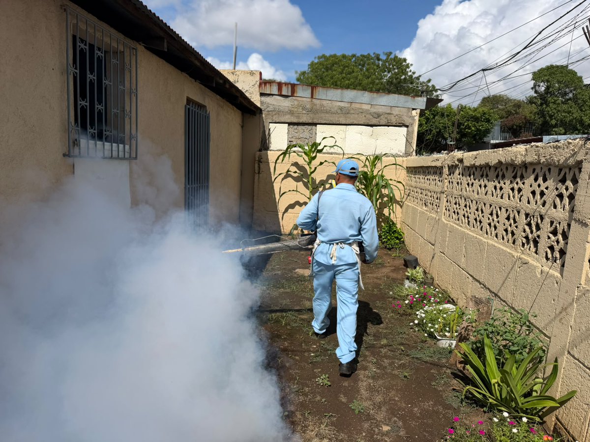 Canal4Ni's tweet photo. 🦟🚫 El MINSA intensificó las acciones de prevención en el sector oriental del barrio Villa Venezuela, Managua 🏘️🇳🇮, atendiendo alrededor de 150 viviendas mediante jornadas de fumigación y aplicación de larvicida 💨🧪. #noticias #nicaragua #canal4
Más información 🌐👉🏼 https://t.co/KXPNXvYe25