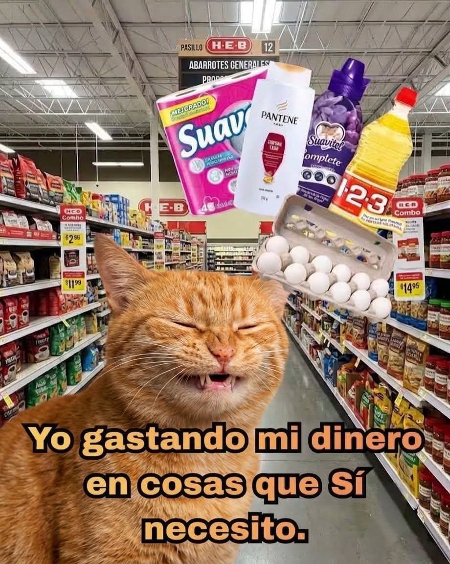 Animalesaprieto's tweet photo. https://t.co/YKfrmhmb2x