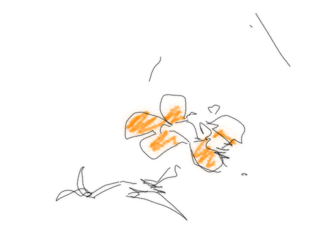 WoopyFish tweet picture