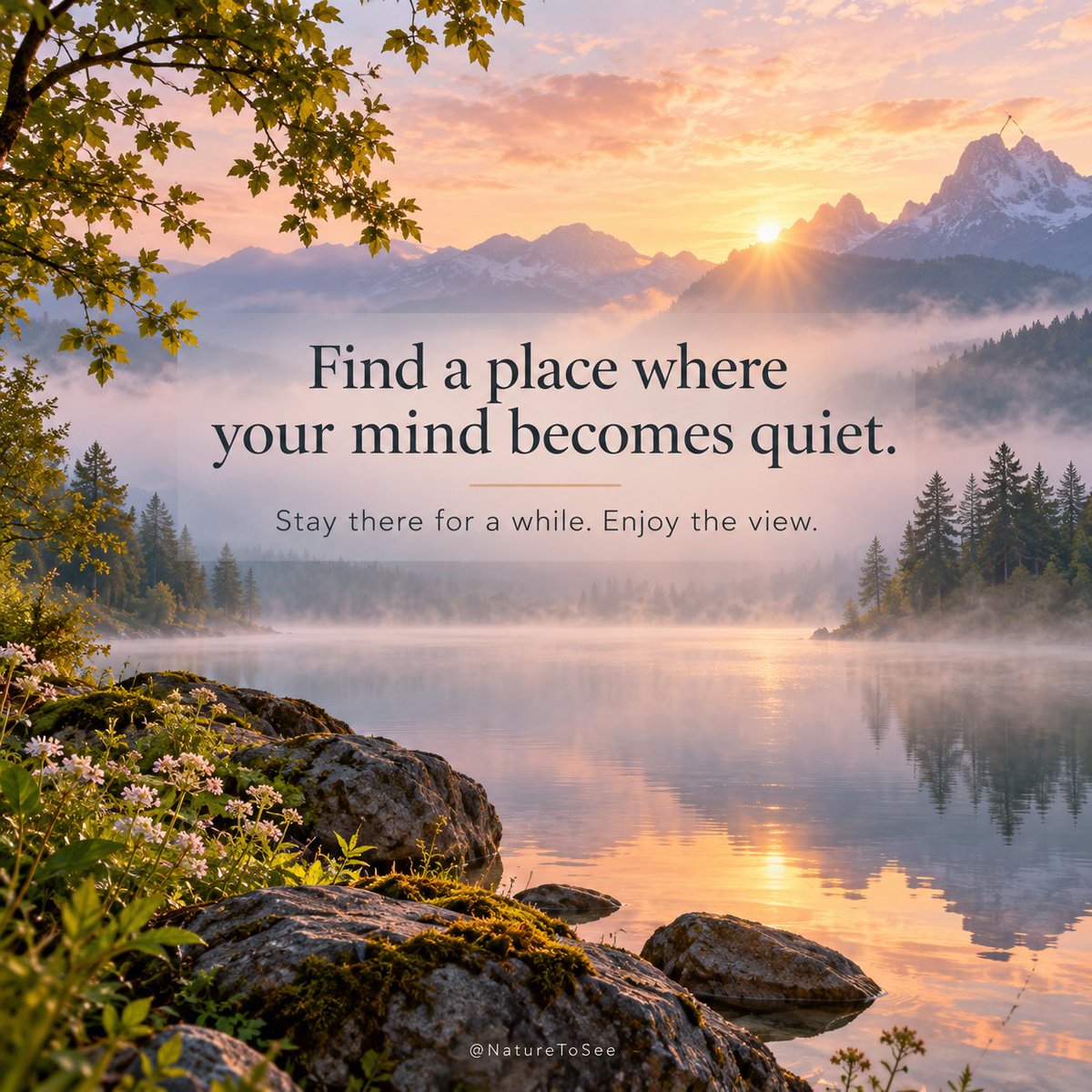 NatureToSee tweet picture