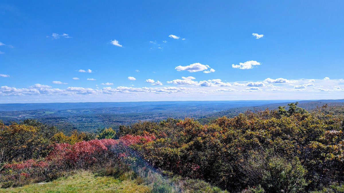 Metapsyche's tweet photo. Saturday was a blast. I enjoyed nature at High Point State Park in the day and then Central Park for the #WeBelongHere festival from dusk onwards #StephanBodzin #BenBohmer https://t.co/nI1fIxpnSn