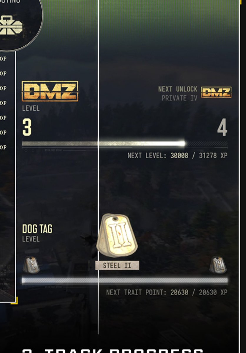 DMZ Rank in Game