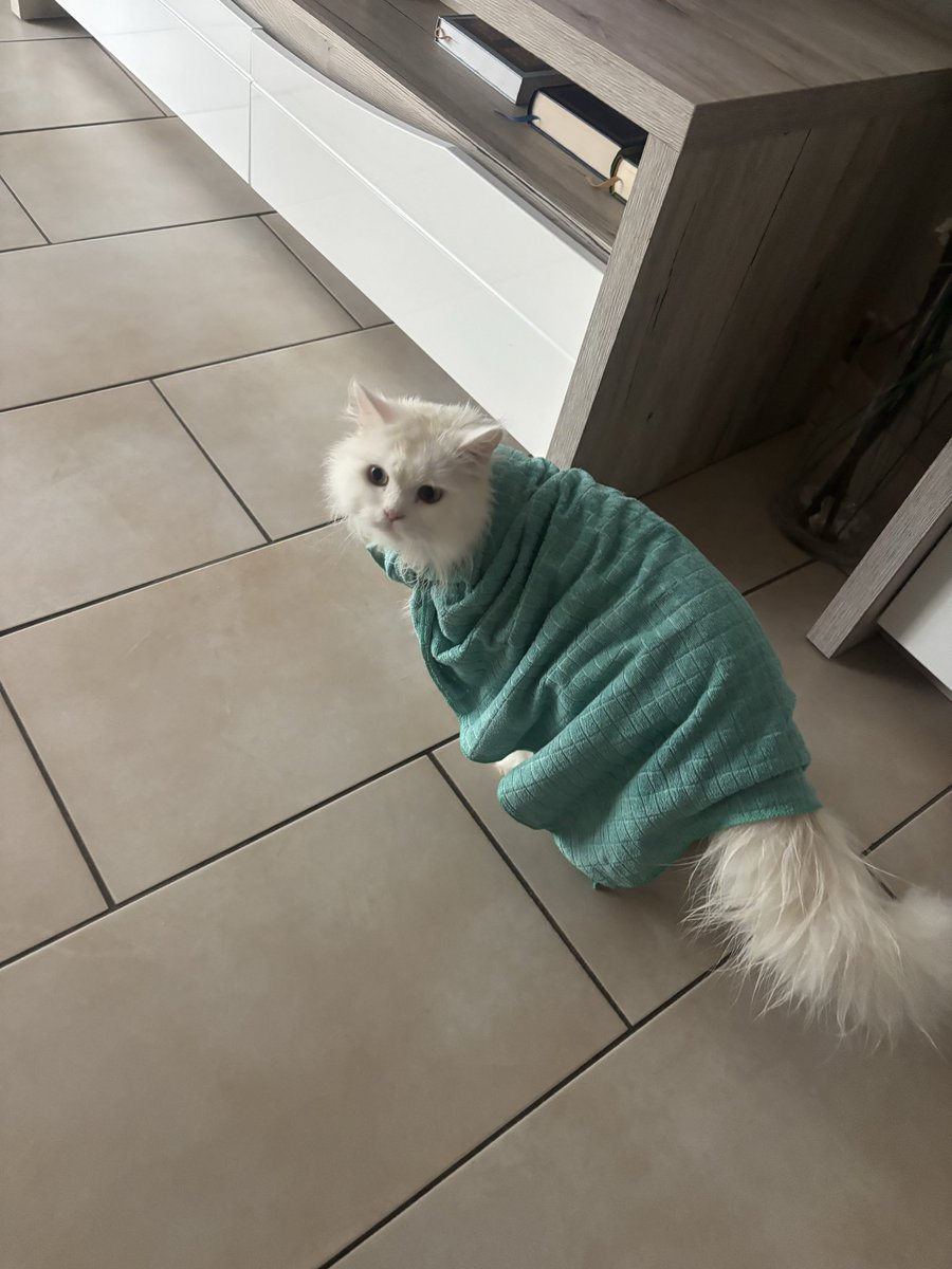 laaneeyy11's tweet photo. Il a appris la leçon il est rentré trempé de la pluie https://t.co/GsbjNqyP7Z