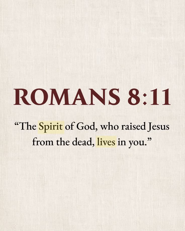 TheBibleDailyW's tweet photo. https://t.co/AyAuTMsy2d