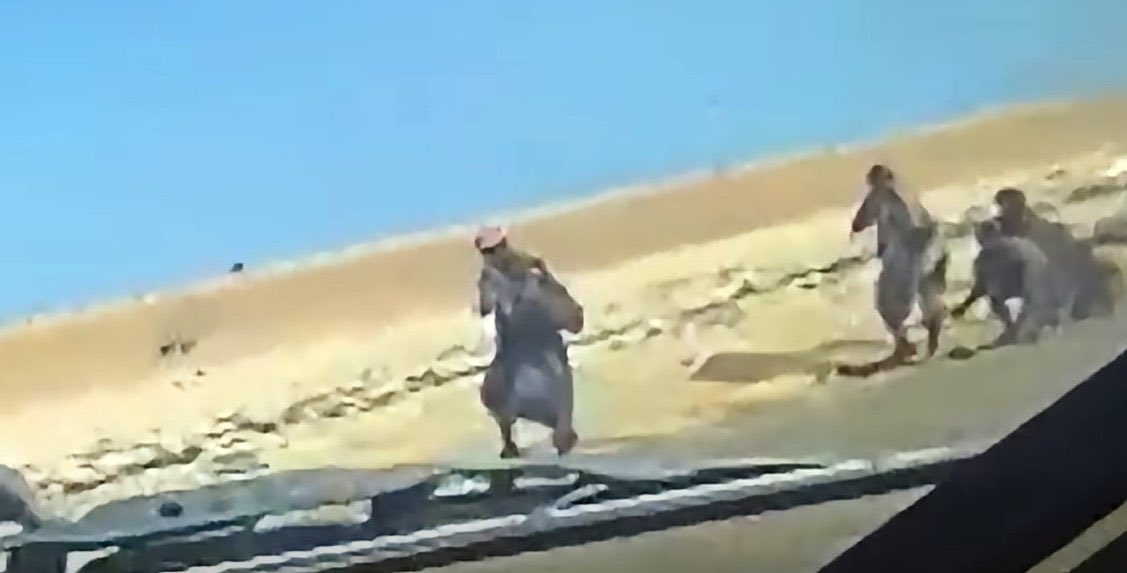 voovh's tweet photo. كانوا يطلقون النار 

لم يكونوا حمامة سلام 🕊️ https://t.co/2A120ctGNj