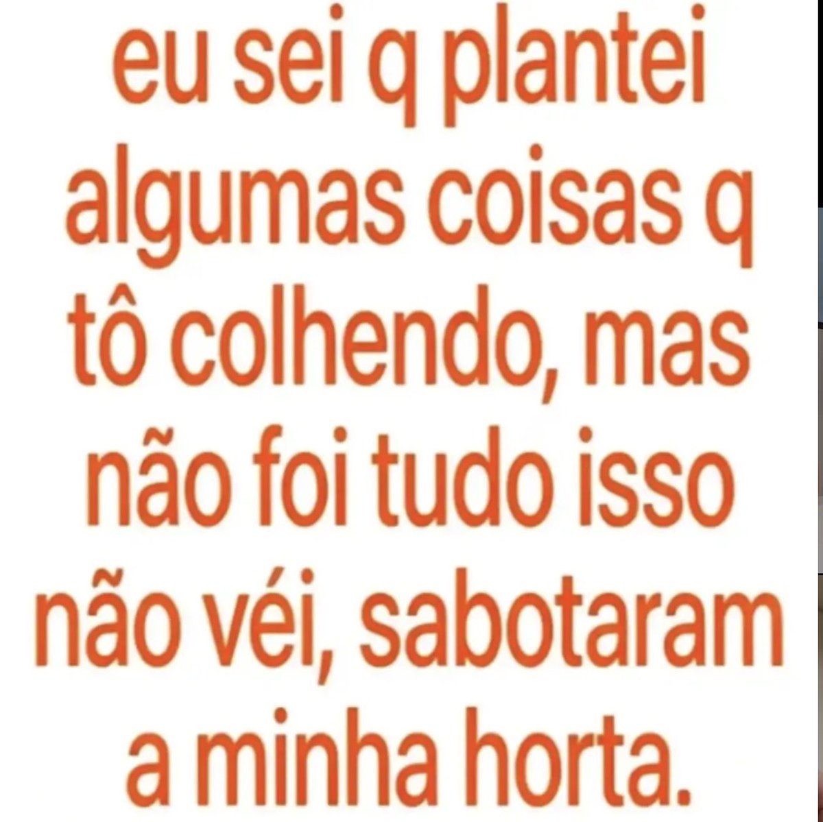 agsurtos's tweet photo. tão sabotando minha horta https://t.co/nqQdYmZfYt