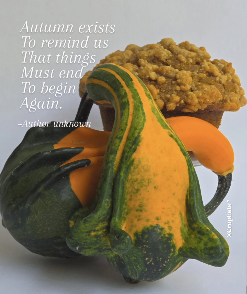 cropeats's tweet photo. Pumpkin season, everything colorful and new beginnings; it's that time of the year again! 🎃 https://t.co/G3Dz6ljiJL