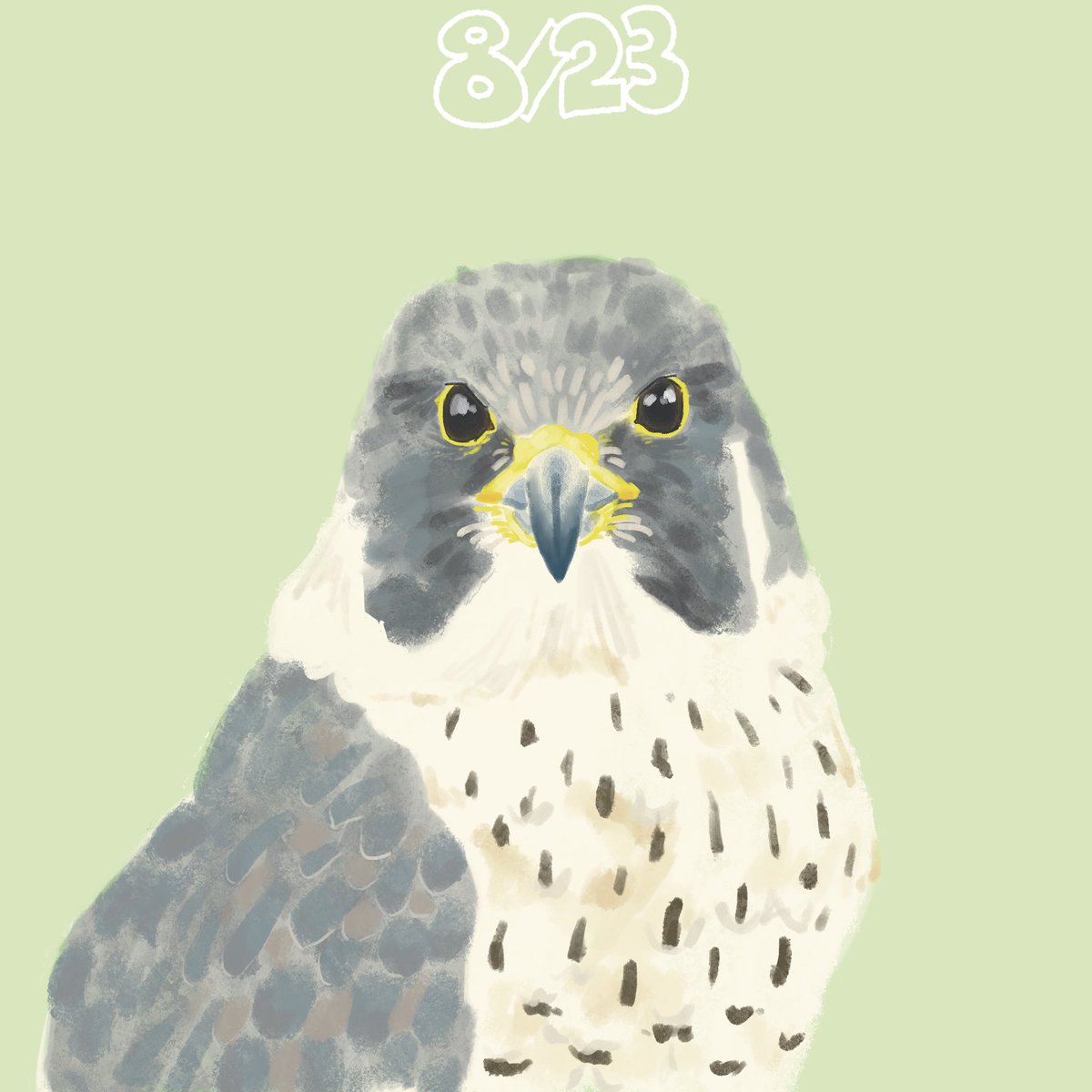 kiuminooo's tweet photo. 8月23日_ハヤブサ_不正を許さぬ心
#イラスト
#365日 https://t.co/aVFXFqY6Z6