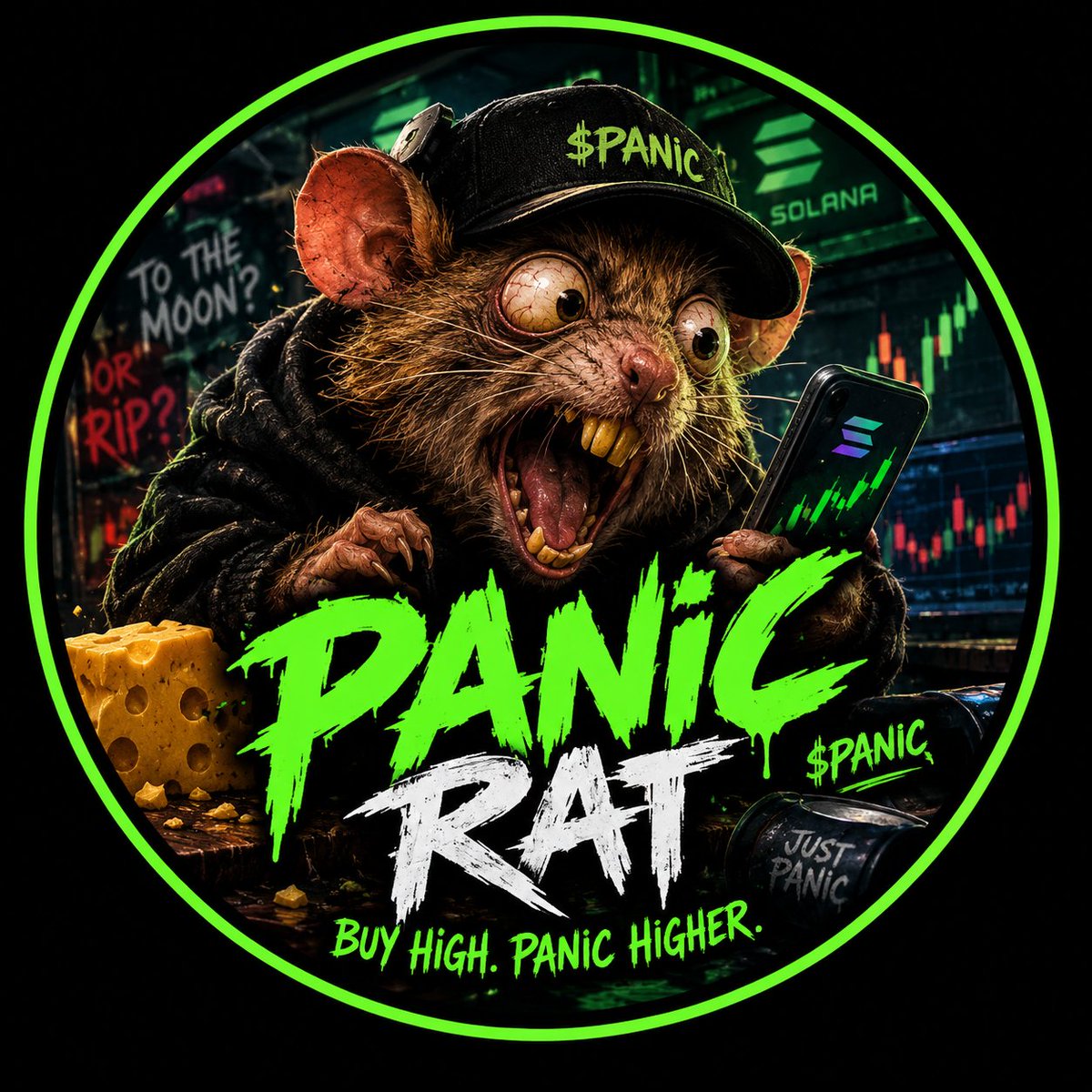 PanicRat_Sol's tweet photo. Rat is behind you. https://t.co/NShYX2NmZD
