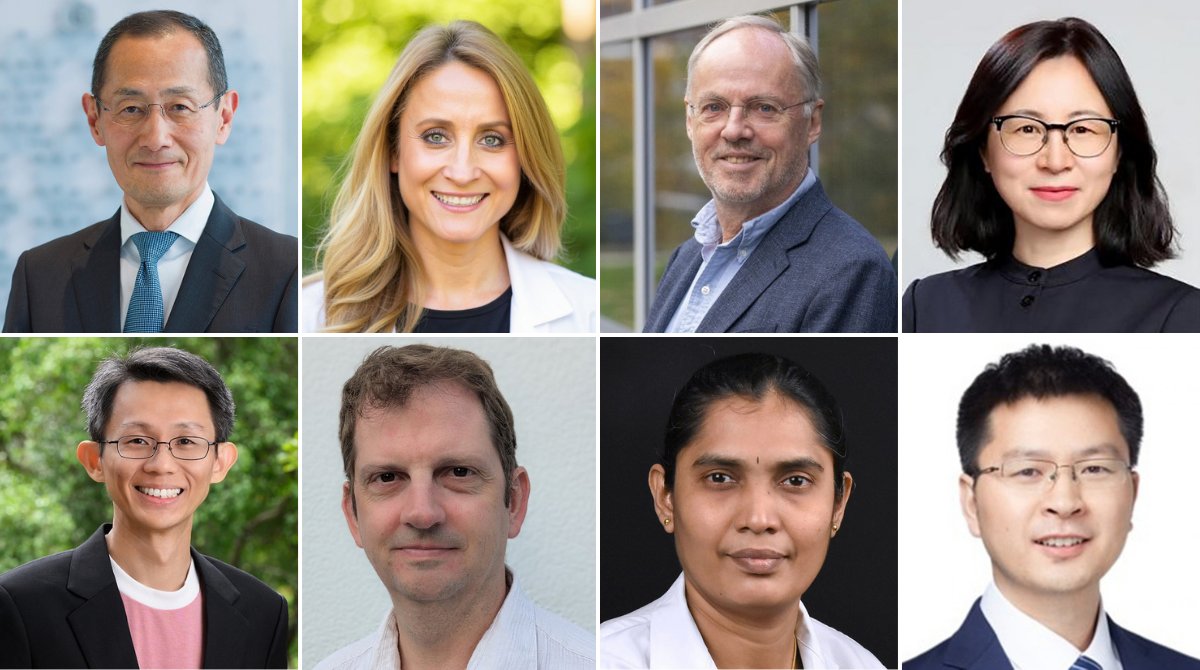 stemcellreports's tweet photo. 20 years after the discovery of iPSCs, the story is still being written.

In a new Voices piece, scientists reflect on how iPSC technology transformed their research and the frontiers it could open next.

https://t.co/m1q2LQKTaP https://t.co/aBzqGZ9lFN