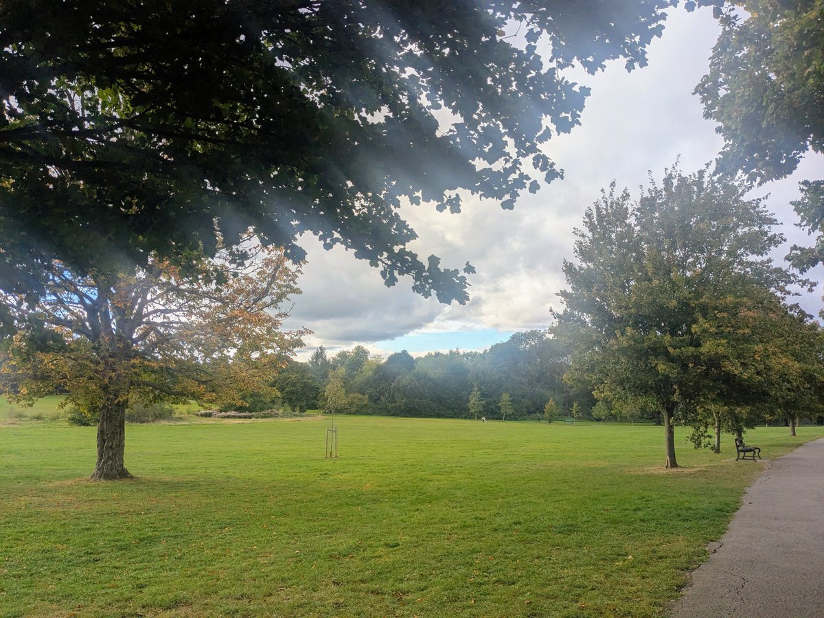 clairevhill's tweet photo. Walk today #Knowle #park https://t.co/OcdUQauYvT