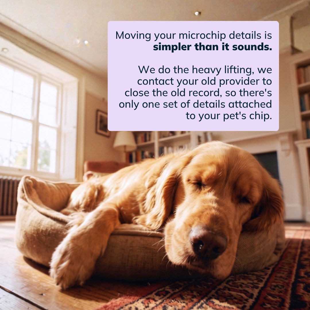 petdatabasecom's tweet photo. Has your microchip database started charging an annual fee?

If so, you don't have to stay put. We accept all UK-compliant microchips. If you've been affected and move to us before October 9th, we'll waive our one-off fee.

👉 https://t.co/BK5LXTxcGe

#PetMicrochip #PetOwners https://t.co/4Uv76JhuRp