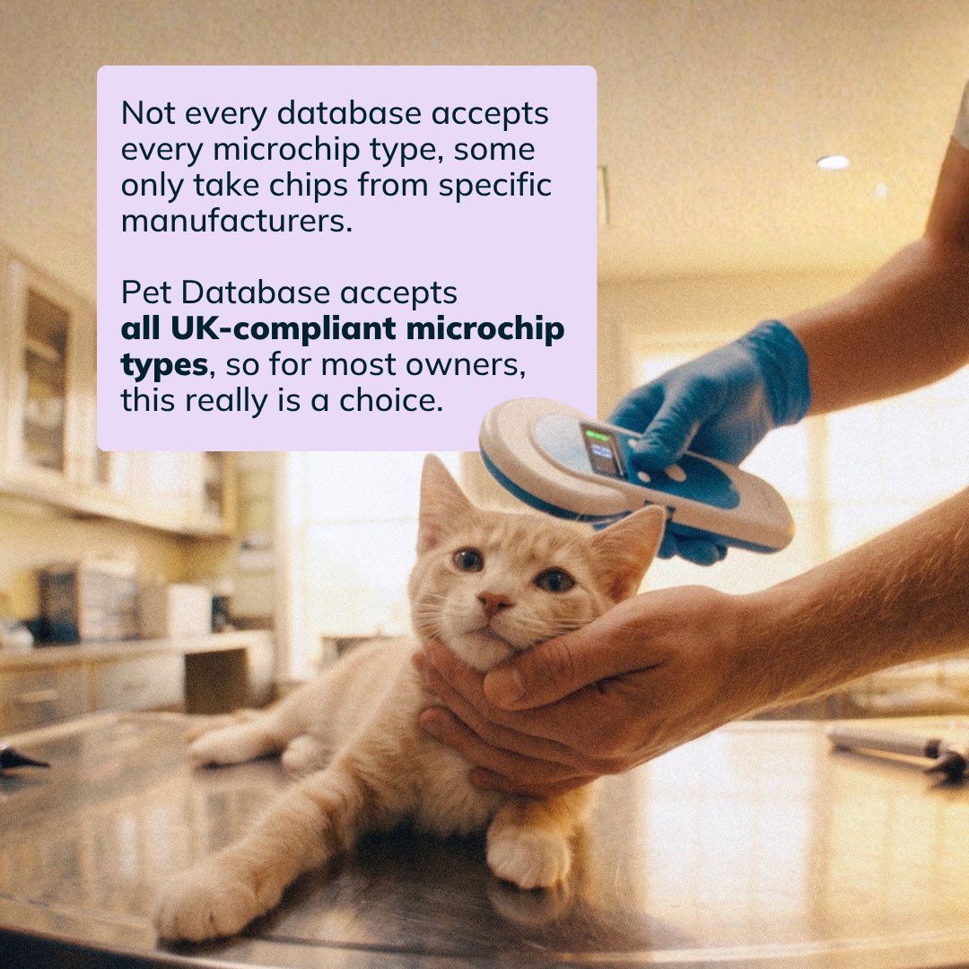petdatabasecom's tweet photo. Has your microchip database started charging an annual fee?

If so, you don't have to stay put. We accept all UK-compliant microchips. If you've been affected and move to us before October 9th, we'll waive our one-off fee.

👉 https://t.co/BK5LXTxcGe

#PetMicrochip #PetOwners https://t.co/4Uv76JhuRp
