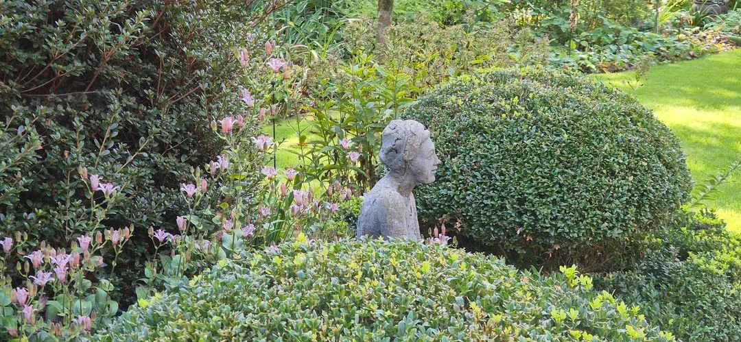 BeysDirk's tweet photo. Nazomer in de tuin. https://t.co/4GetJFDray