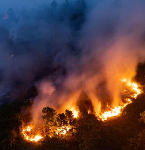 AMAZlNGNATURE's tweet photo. Indonesia’s wildfires put Bornean orangutans at greater risk as flames spread through their shrinking forest habitat

Rescuers are finding orangutans suffering from burns, dehydration and smoke exposure, adding further pressure to the already endangered species https://t.co/dzNmEiIm4p